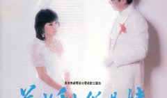 万水千山总是情电视剧,一段跨越时空的深情之旅